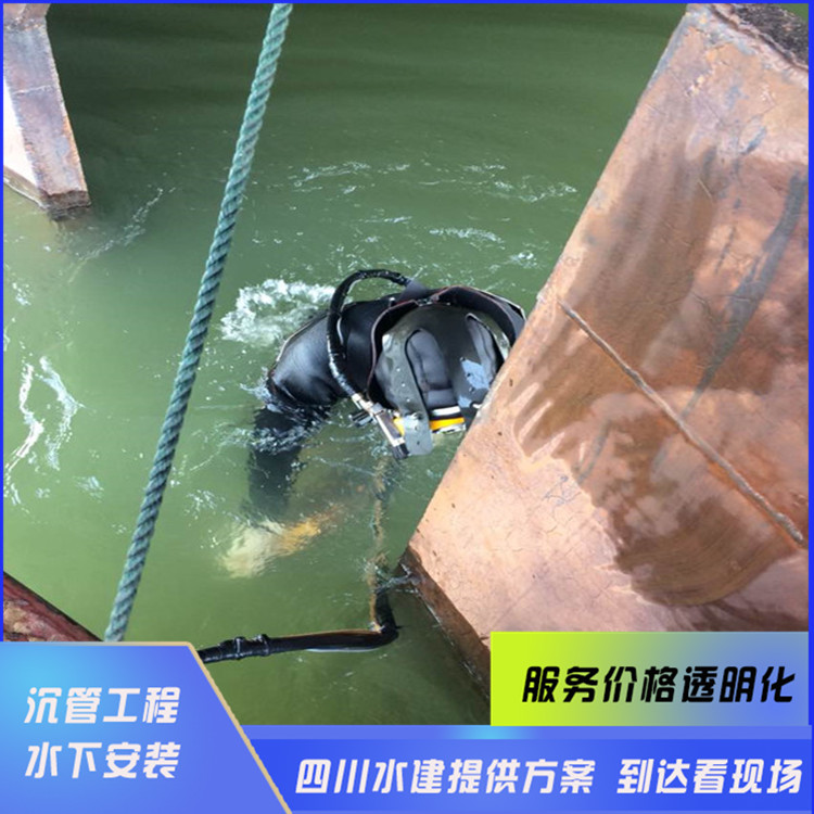 水下取水頭安裝
